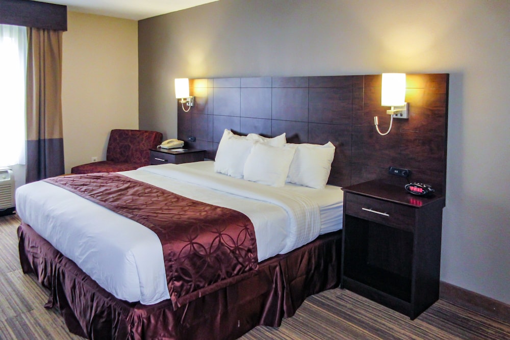 Standard Room, 1 King Bed, Non Smoking (Pet Friendly) photo 1