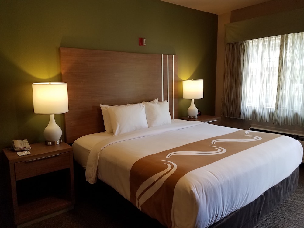 Standard Room, 1 King Bed, Non Smoking, Microwave - Photo 8