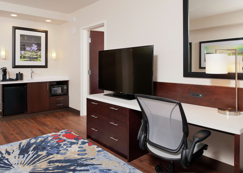 Suite, 1 King Bed, Non Smoking photo 3