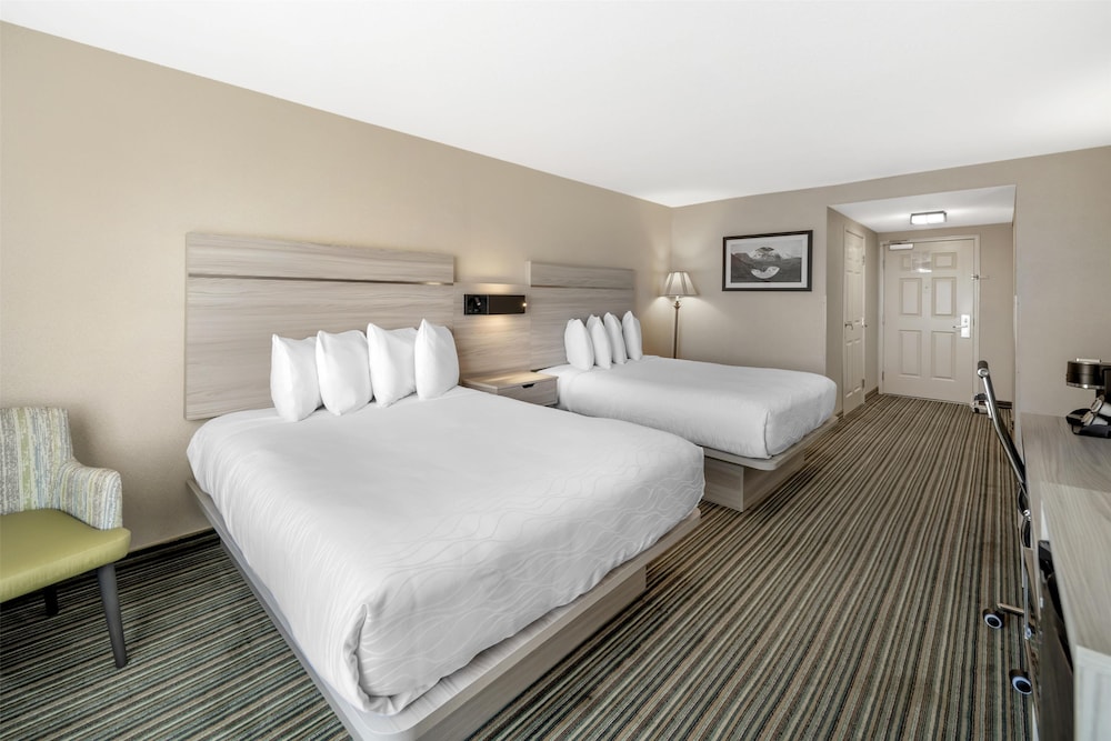 Standard Room, 2 Queen Beds, Non Smoking, Refrigerator & Microwave (Pet Friendly) - Photo 3