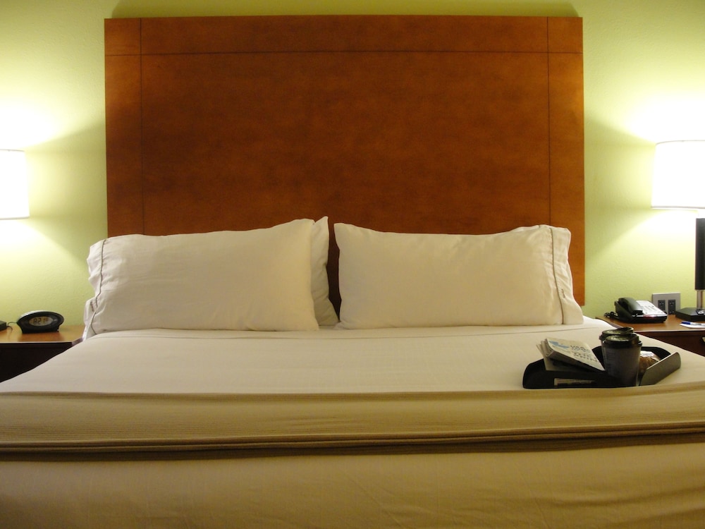 Suite, Multiple Beds - Photo 3