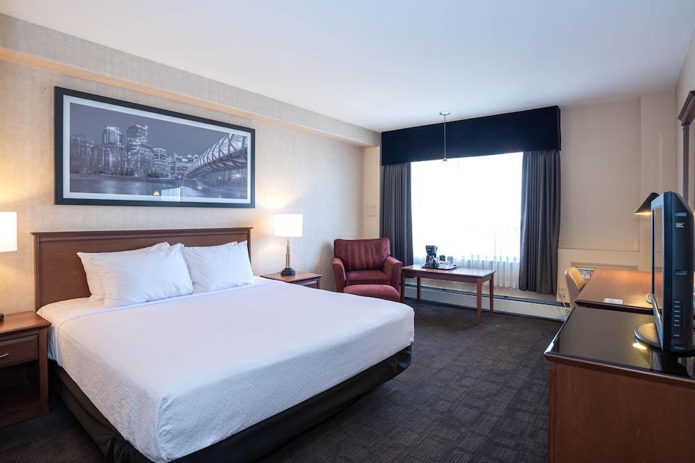 Standard Room, 1 King Bed, Accessible