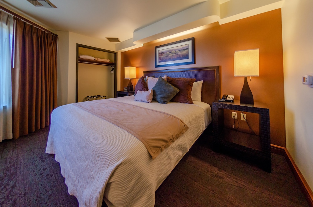 Star Suite photo 2