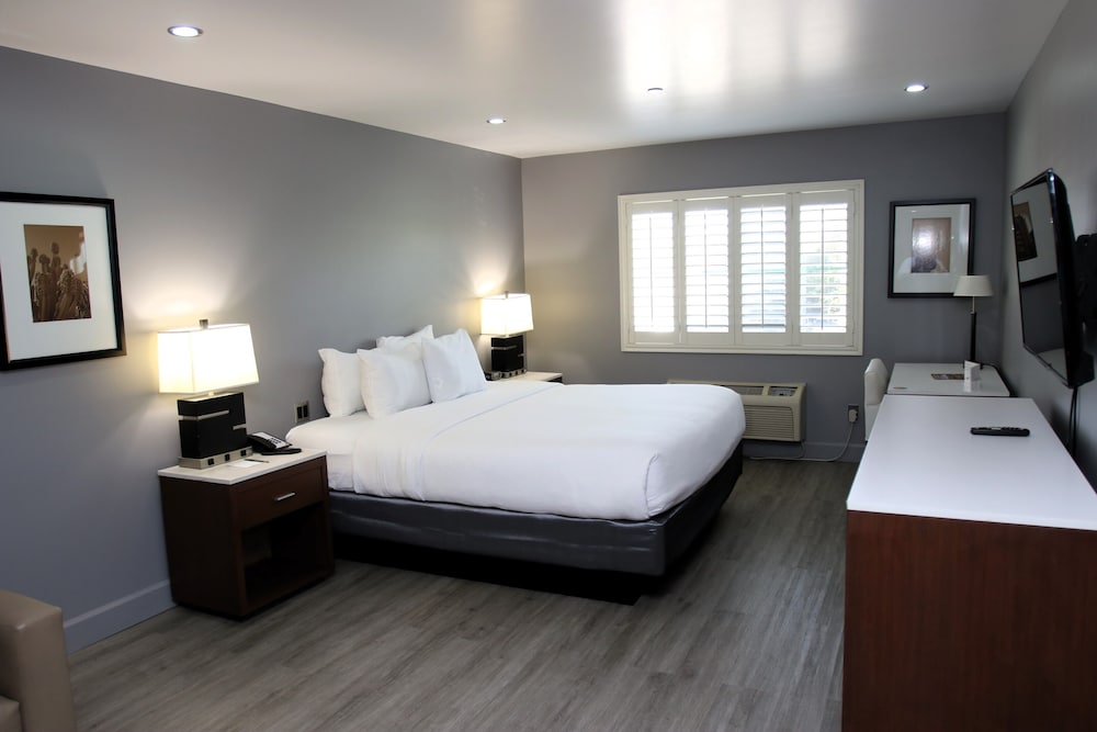 Basic Room, 1 King Bed, Non Smoking - Photo 3