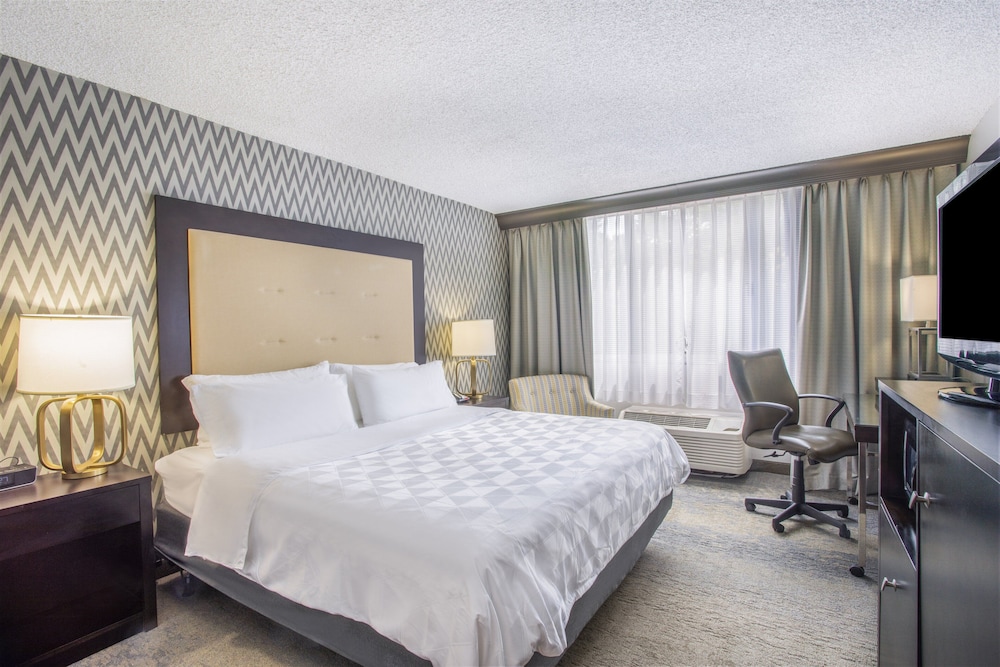 Suite, 1 King Bed, Accessible (Communications) photo 1