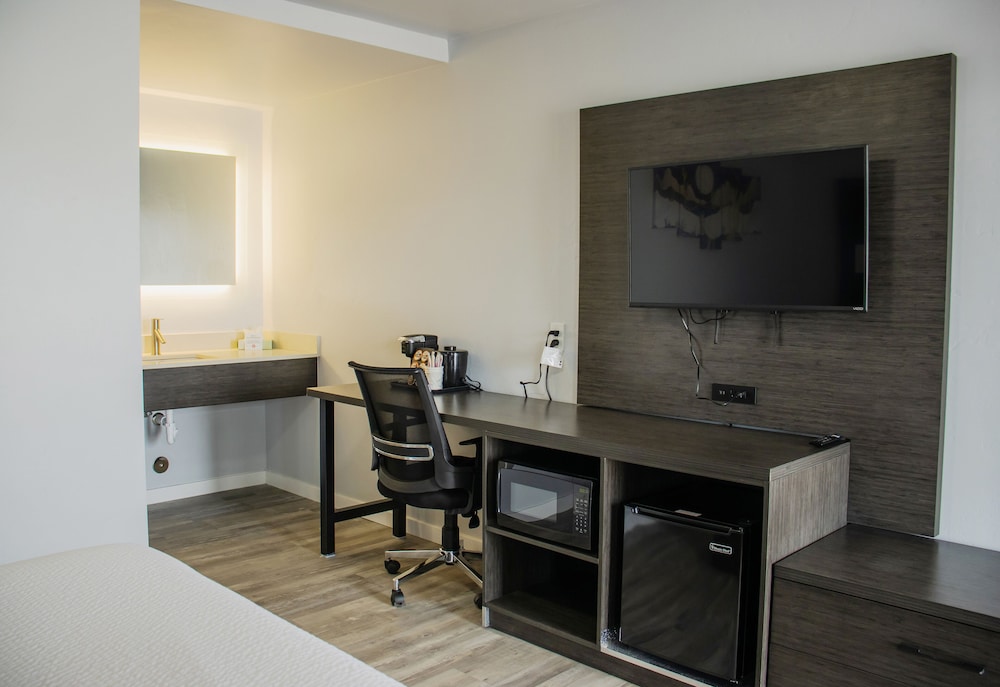 Room, 1 King Bed, Non Smoking, Refrigerator & Microwave photo 2