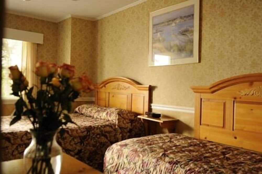 Room, 1 Double Bed and 1 Single Bed, Kitchen photo 3