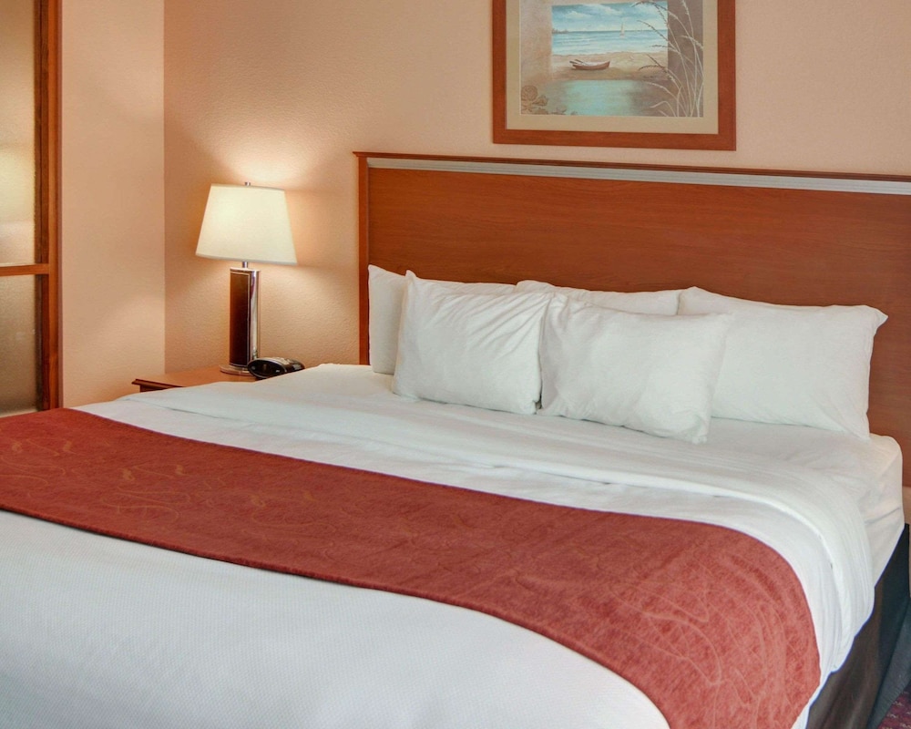 Suite, 1 King Bed with Sofa bed, Accessible, Non Smoking - Photo 1