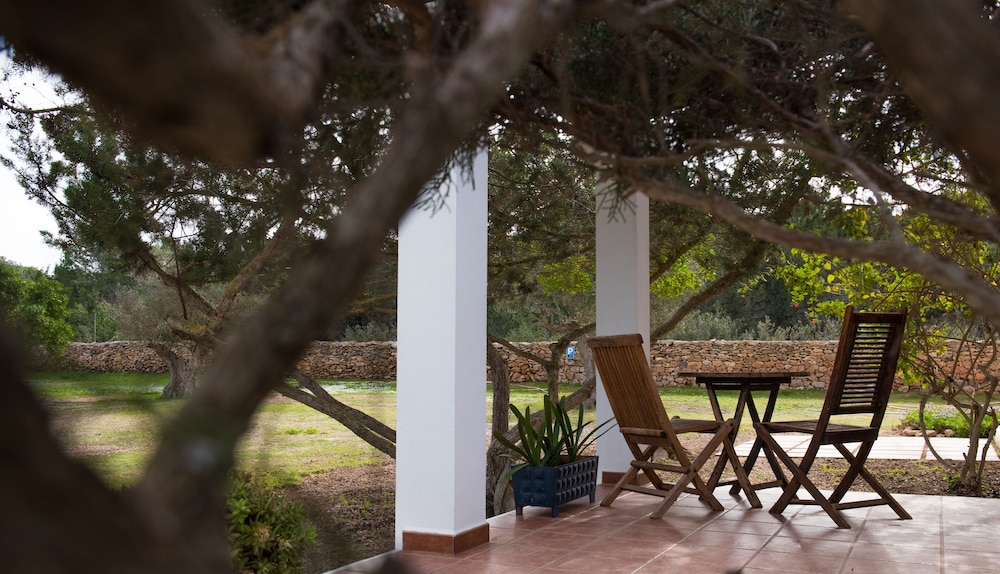 Basic Apartment, 1 Bedroom, Terrace photo 2