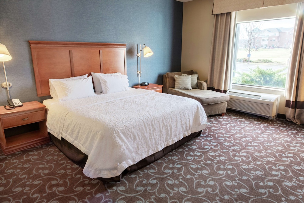 Room, 1 King Bed, Accessible, Non Smoking (Mobility & Hearing, Roll-in Shower) photo 3