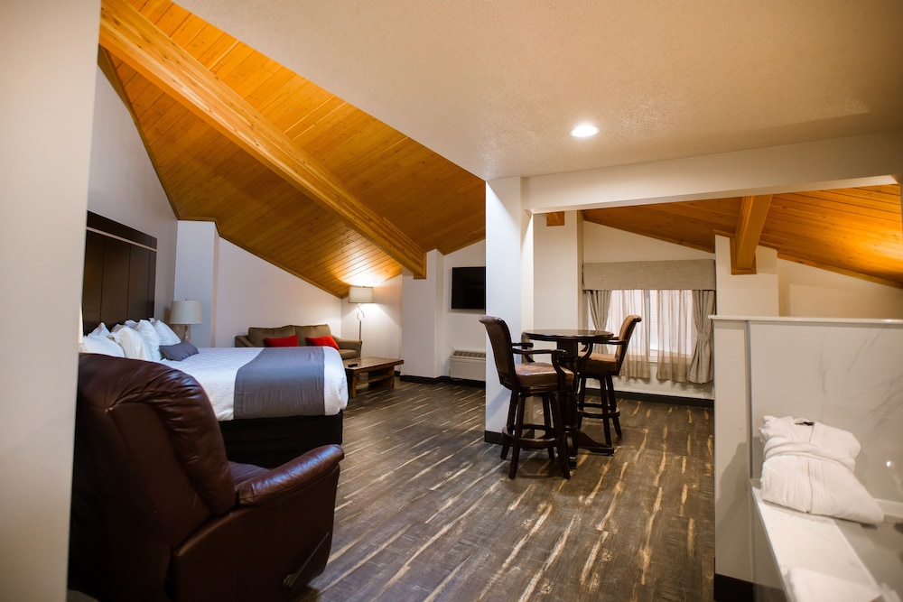 Executive Studio Suite photo 2