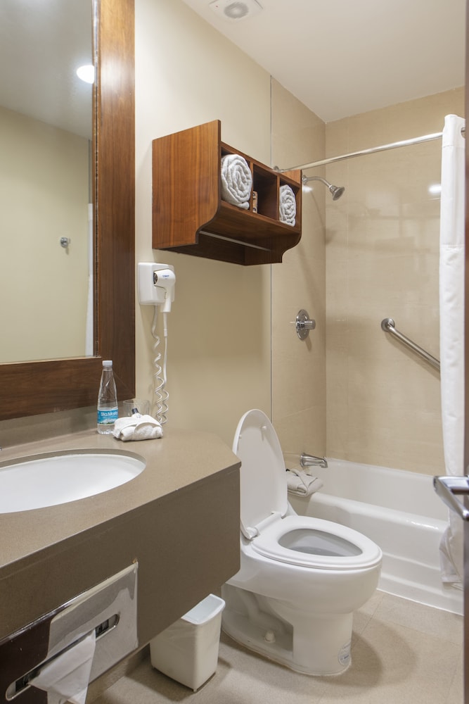 Junior Single Room - Photo 5
