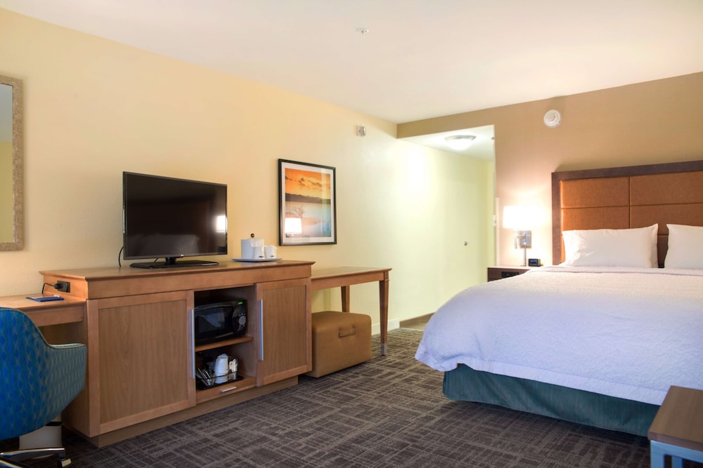 Room, 1 King Bed, Non Smoking, Refrigerator & Microwave photo 1