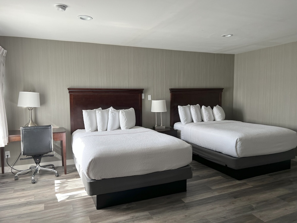 Two Room Suite, 2 Bedrooms photo 3