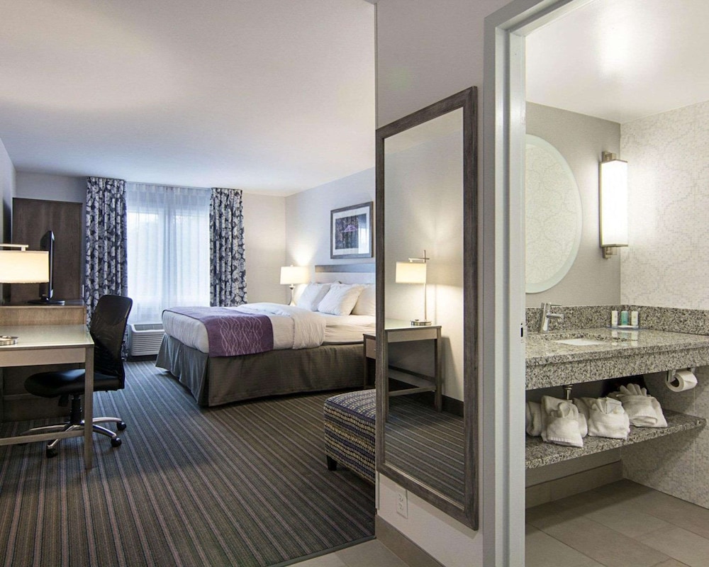 Room, 1 King Bed, Non Smoking - Photo 4