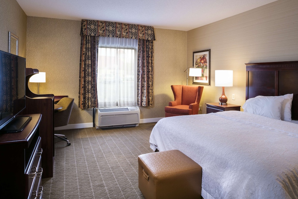 Room, 1 King Bed, Accessible, Non Smoking