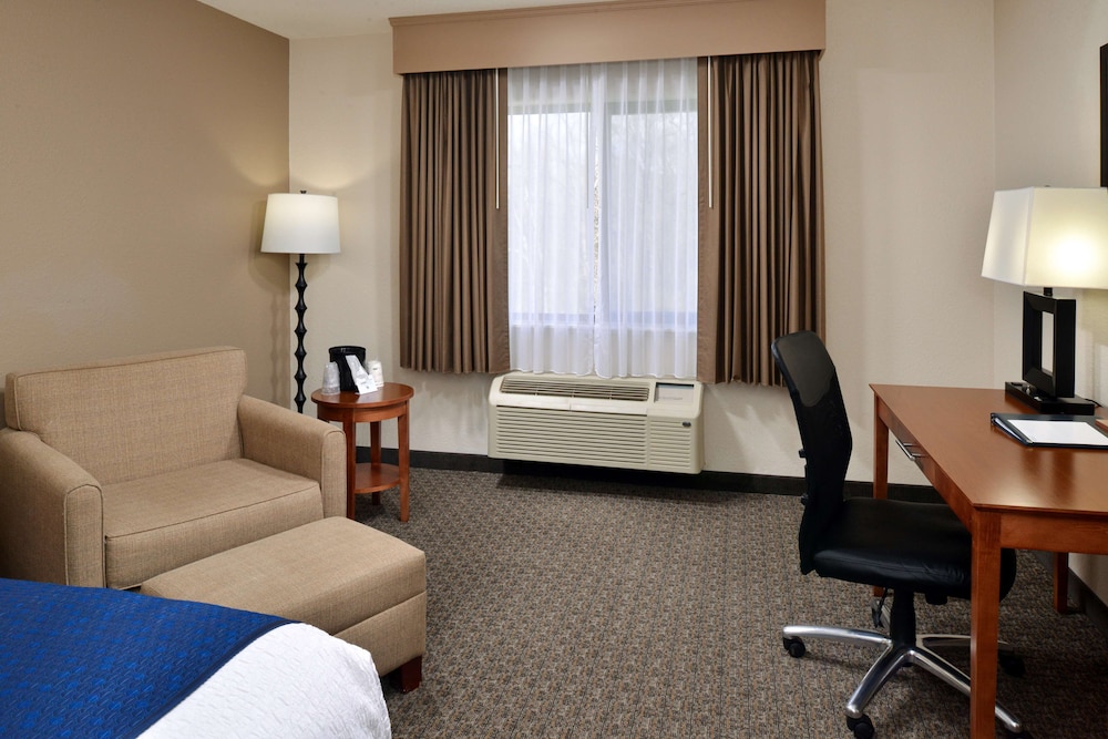 Standard Room, 1 King Bed, Non Smoking, Refrigerator & Microwave - Photo 3