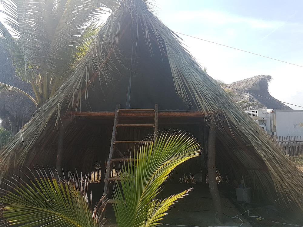 Traditional Cabin, Multiple Beds, Non Smoking photo 2