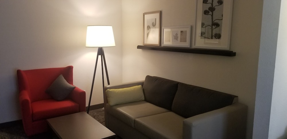 Studio Suite, 1 King Bed, Non Smoking photo 2