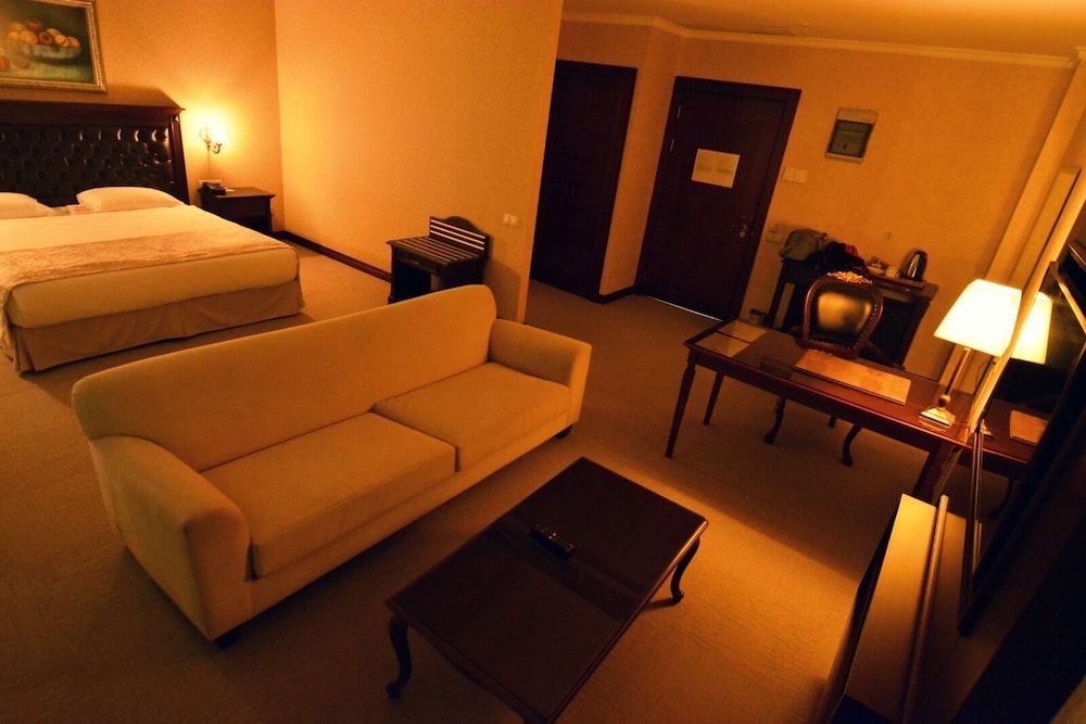 Deluxe Double or Twin Room - Photo 8