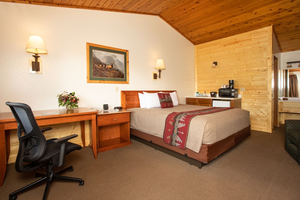 Deluxe Single Room, 1 King Bed, Mountain View photo 3