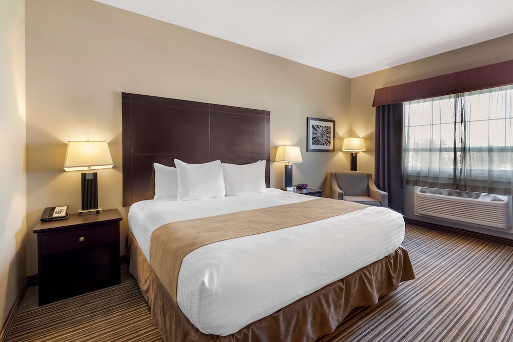 Suite, 1 King Bed, Non Smoking, Refrigerator & Microwave (with Sofabed) photo 1