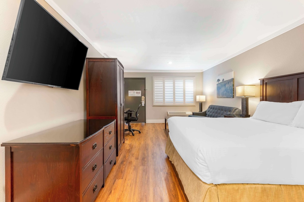 Standard Room, 1 King Bed, Non Smoking, Refrigerator (with Sofabed) photo 2