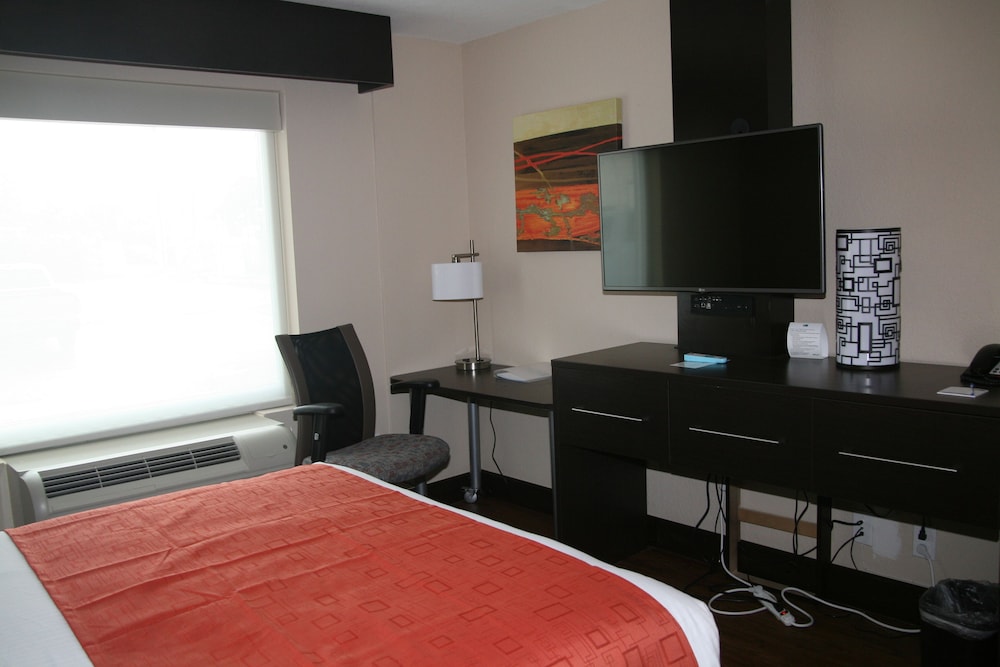 Room, 1 King Bed, Accessible (Roll-In Shower) photo 3