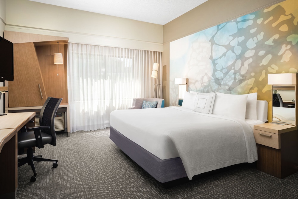 Room, 1 King Bed (Mobility Accessible, Roll-In Shower) - Photo 4