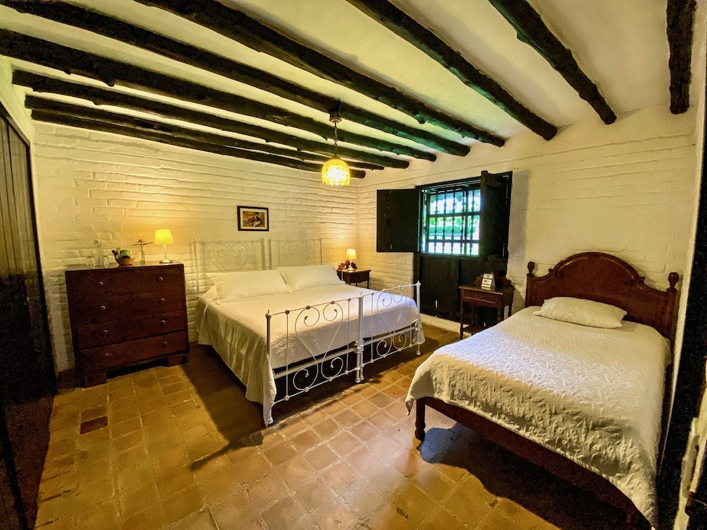 Triple Room photo 3
