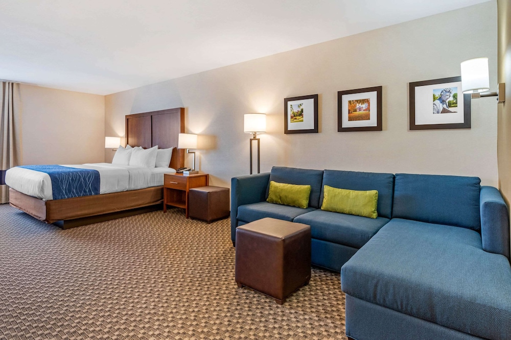 Suite, 1 King Bed with Sofa bed, Non Smoking - Photo 1