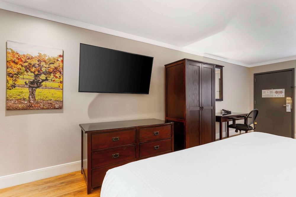 Standard Room, 1 King Bed, Non Smoking, Refrigerator (with Sofabed) photo 3