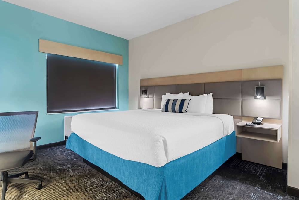 Suite, 1 King Bed, Non Smoking, Refrigerator & Microwave (With Sofabed) - Photo 2