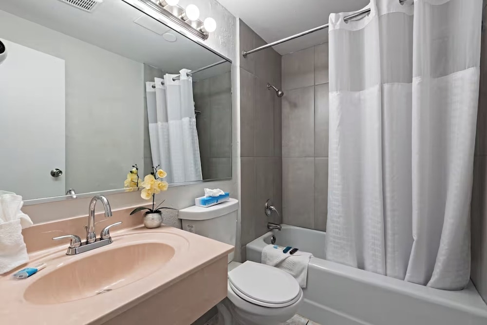 Standard Studio Suite, 1 King Bed photo 3