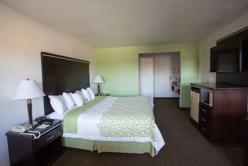 Room, 1 King Bed, Accessible photo 2