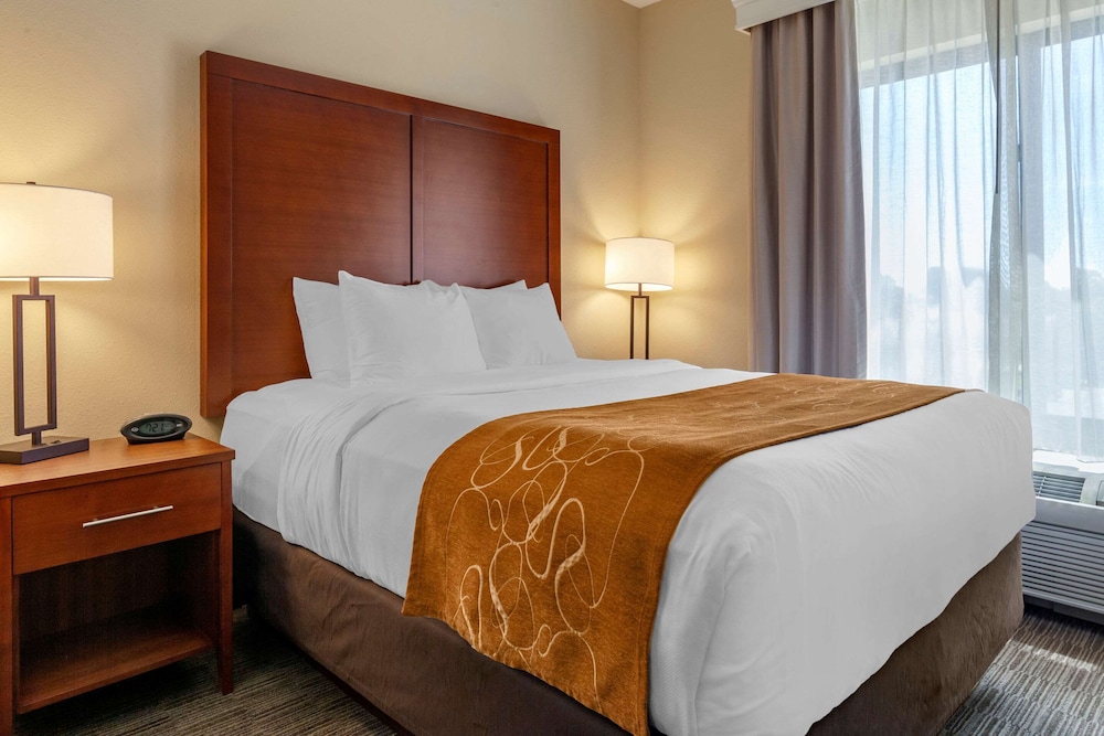 Suite, 1 Queen Bed with Sofa bed, Non Smoking photo 1