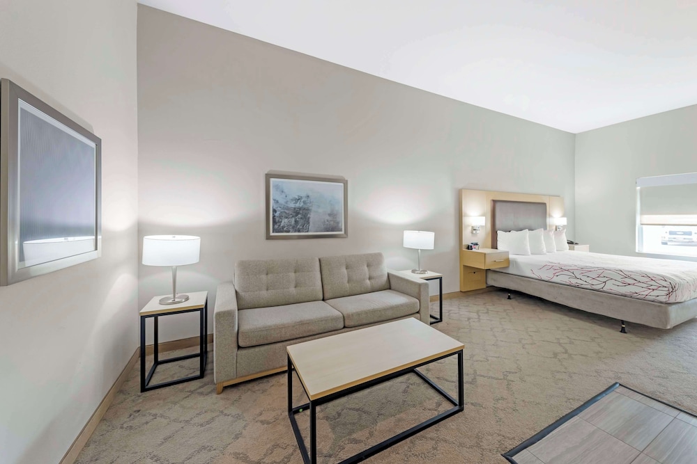 Suite, 1 King Bed, Accessible, Refrigerator & Microwave (with Sofabed) - Photo 1