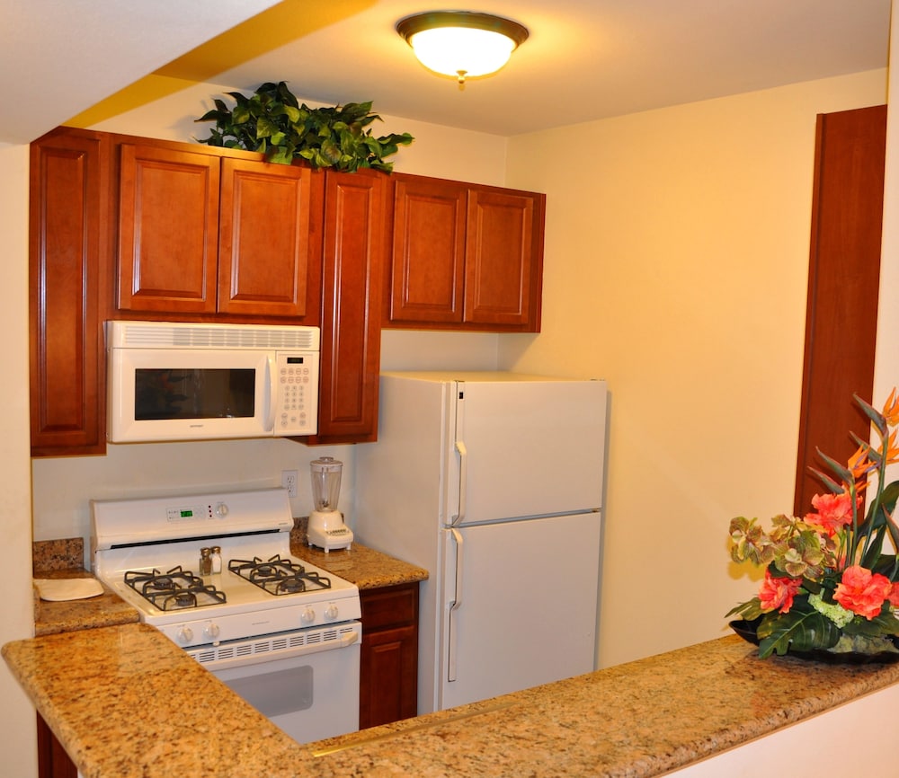Suite, 1 Bedroom, Kitchen