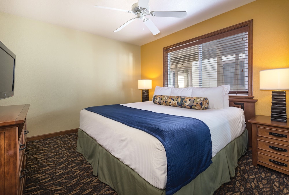 Standard Condo, 1 Bedroom, Kitchen
