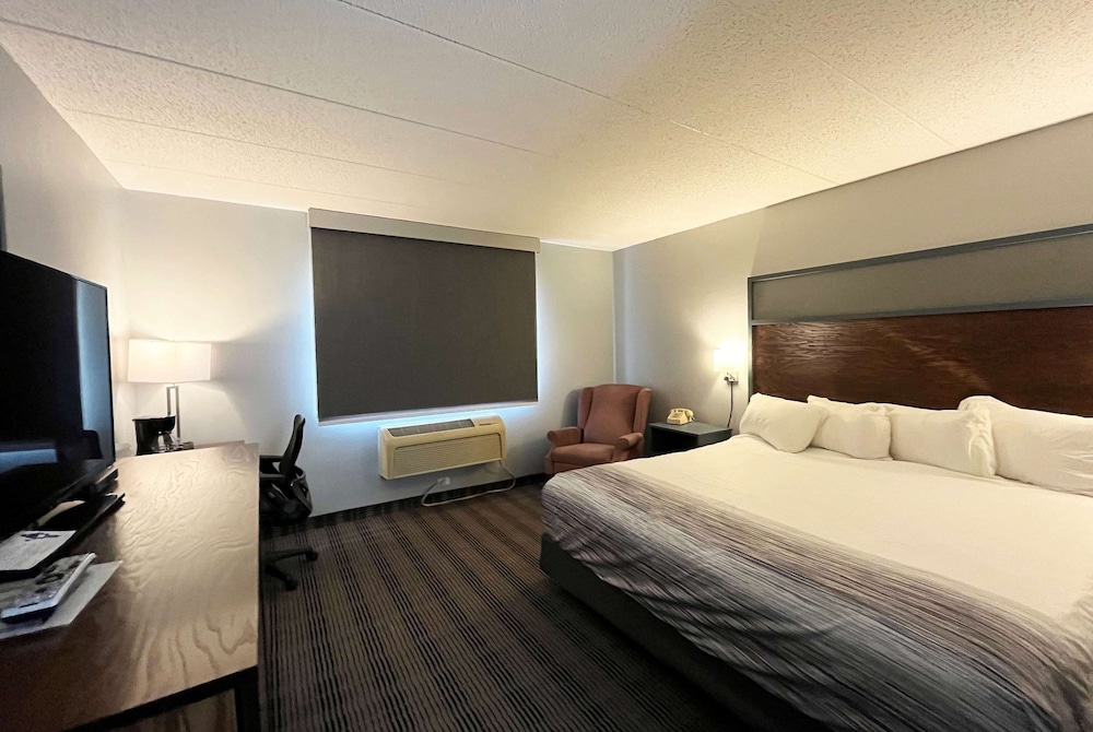 Room, 1 King Bed, Non Smoking - Photo 1