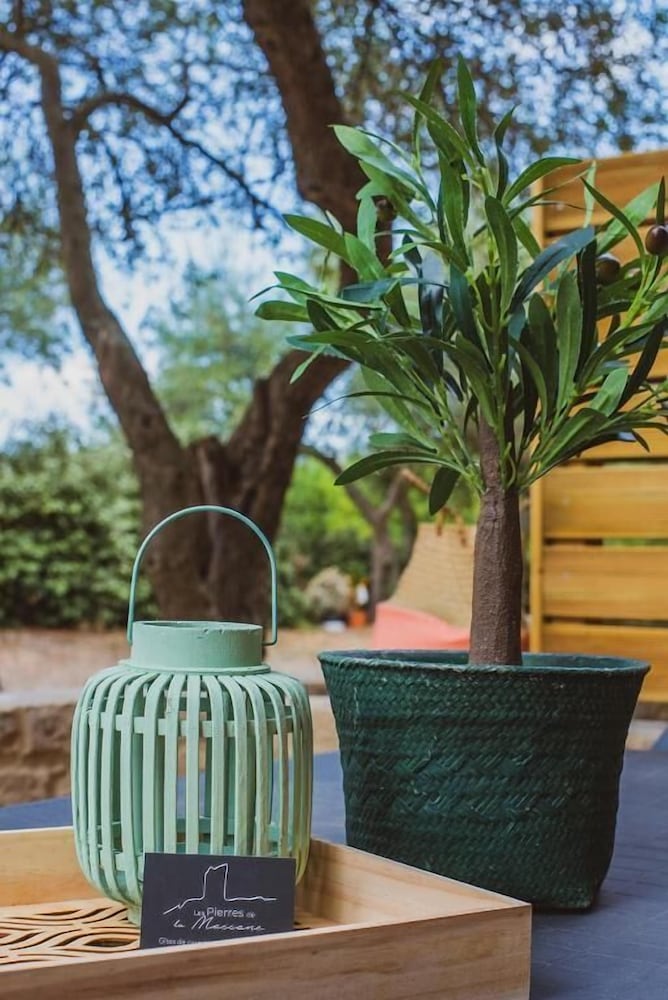 Studio, Patio, Mountain View
