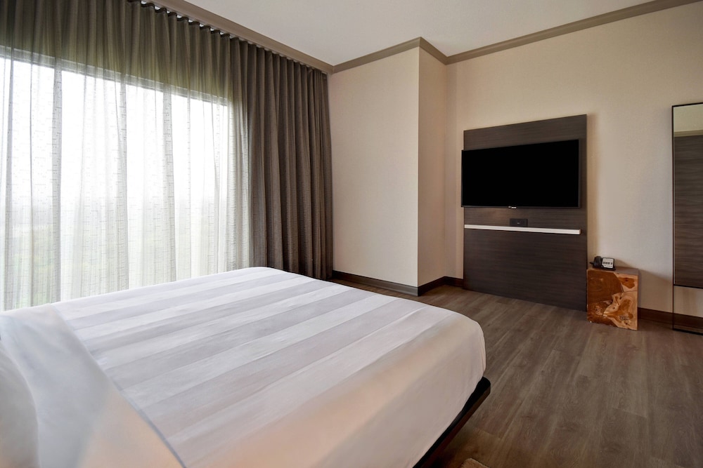 Room, 1 King Bed (Hearing Accessible)