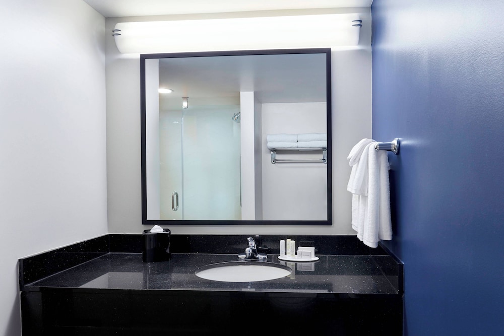 Room, 1 King Bed, Park View (Mobility/Hearing Accessible, Tub) - Photo 4