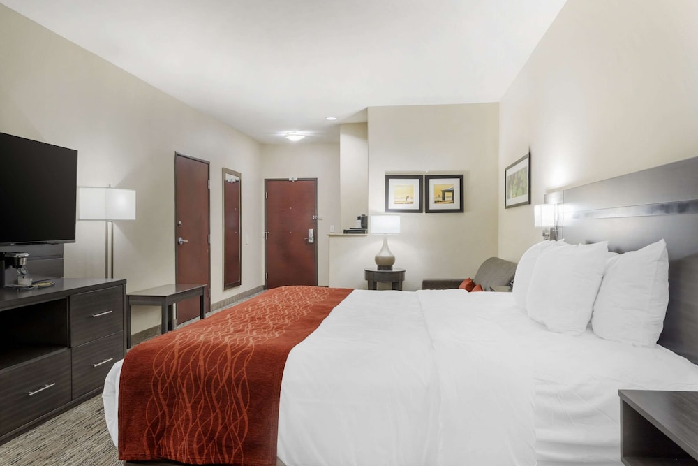 Standard Single Room, 1 King Bed, Non Smoking - Photo 1