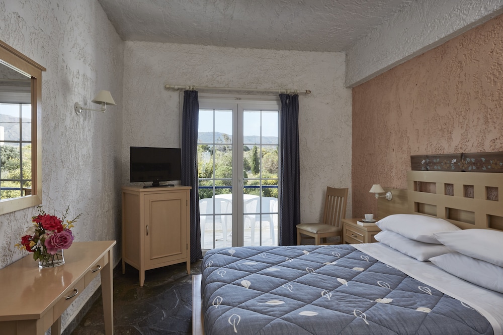 Double or Twin Room, Mountain View photo 1
