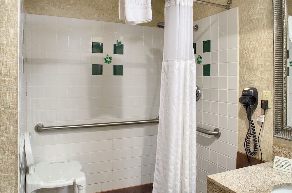 Standard Room, 1 King Bed, Accessible, Non Smoking - Photo 3