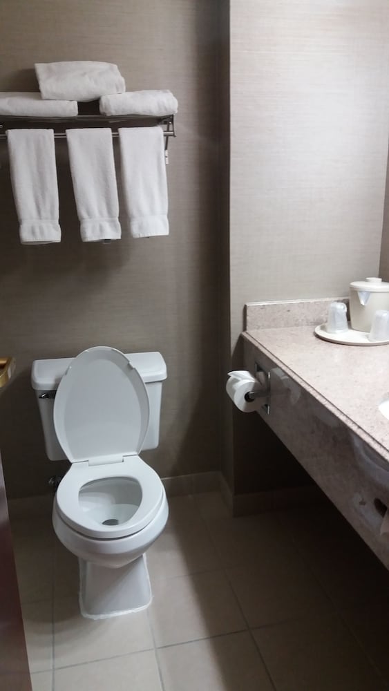 Suite, Multiple Beds (Additional Living Area) - Photo 8