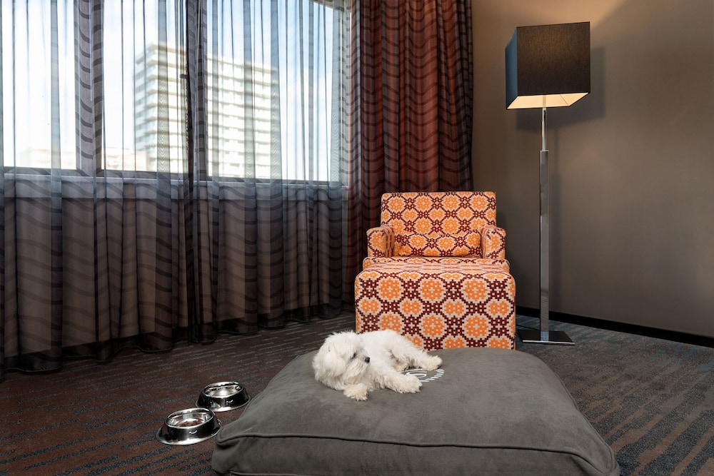 Executive Suite, 1 Bedroom - Photo 1