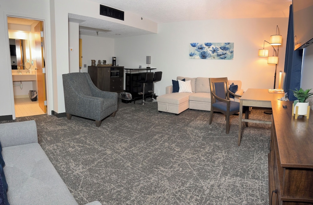 Studio Suite, 1 King Bed with Sofa bed, Non Smoking photo 2