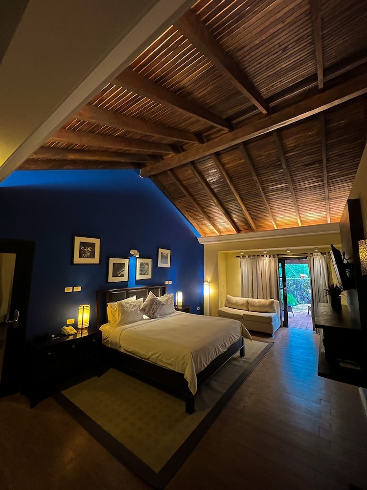 Junior Suite, 1 King Bed photo 2